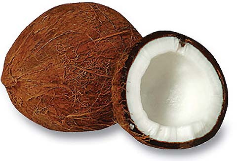 [Image: Coconut-JoyAndFood.jpg]