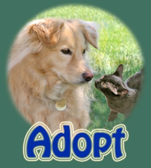 animal adopt